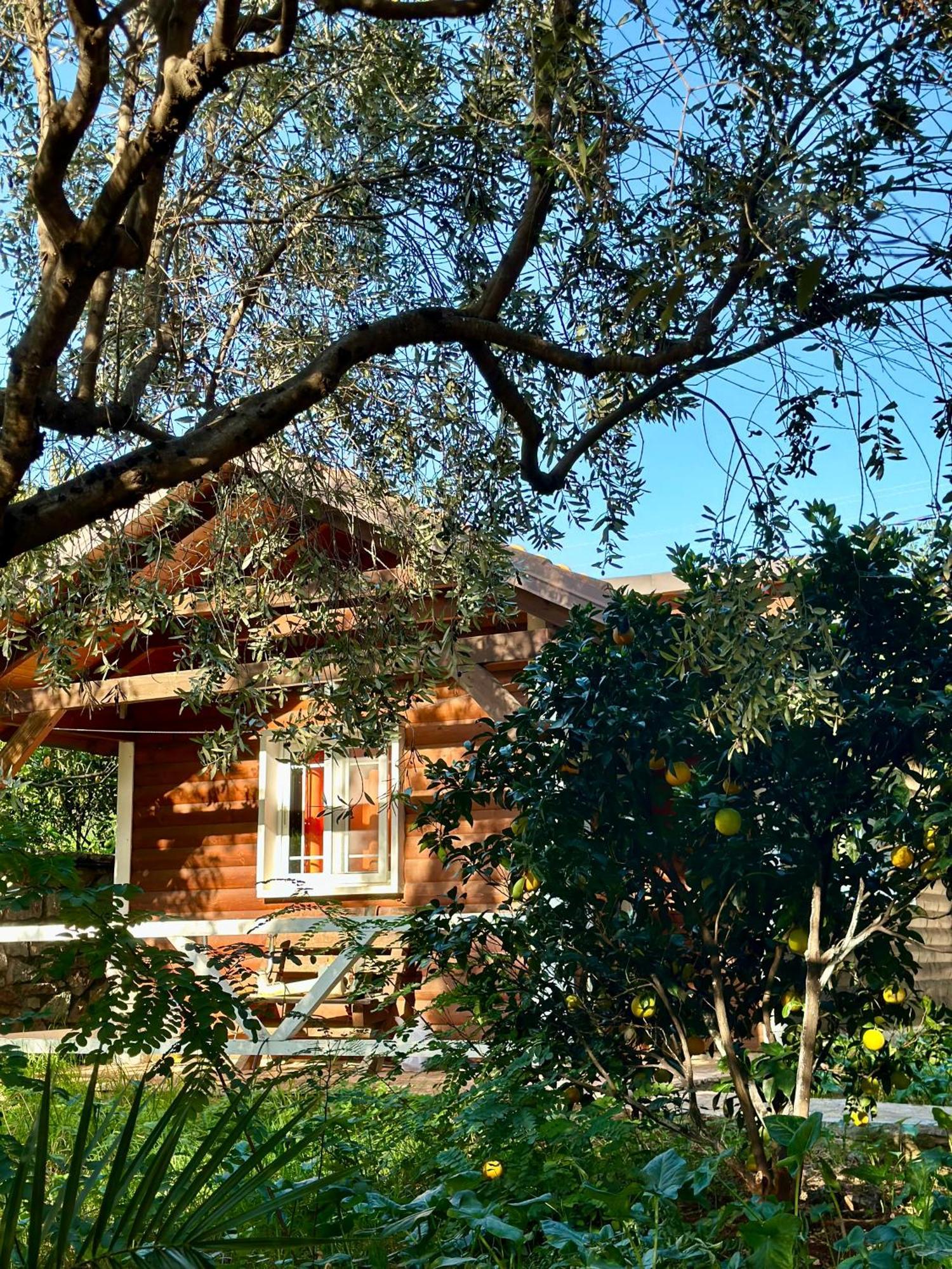 The Mussel House Villa Ksamil Bagian luar foto